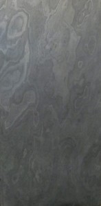 California Grey (1).JPG