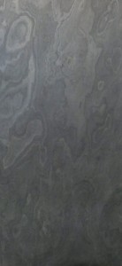 California Grey (3).JPG