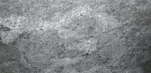 Argento (neu) (2).JPG