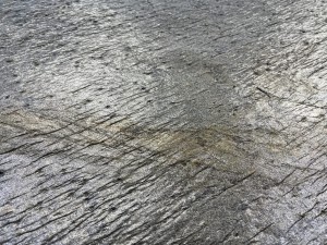 Verde Gris (2023 Detail) (2).jpeg