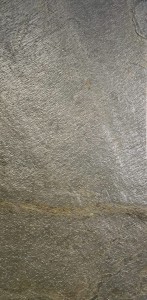 Verde Gris (2023 Standard) (4).jpeg