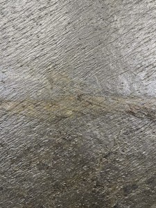 Verde Gris (2023 Detail) (1).jpeg