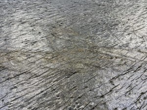 Verde Gris (2023 Detail) (3).jpeg