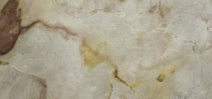 Falling Leaves (16).jpg