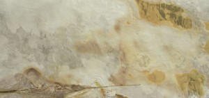 Falling Leaves (17).jpg