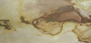 Falling Leaves (19).jpg