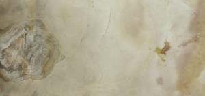 Falling Leaves (18).jpg