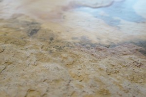 Falling Leaves Detail neu (1).JPG