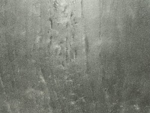 JadeGreen_20231211 (2).jpeg