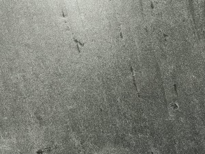 JadeGreen_20231211 (7).jpeg