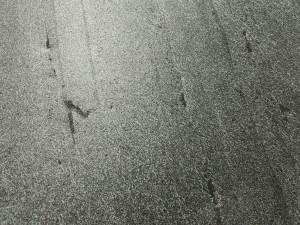 JadeGreen_20231211 (8).jpeg