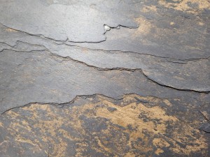 0ffb755ba0cfc9c6c9d0375587214df5