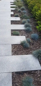 ed109ef3fba3e1a1fce2f50505d3cf34