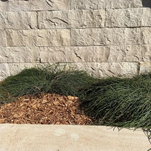 2900b36c58ec555f61741b830d33bf74