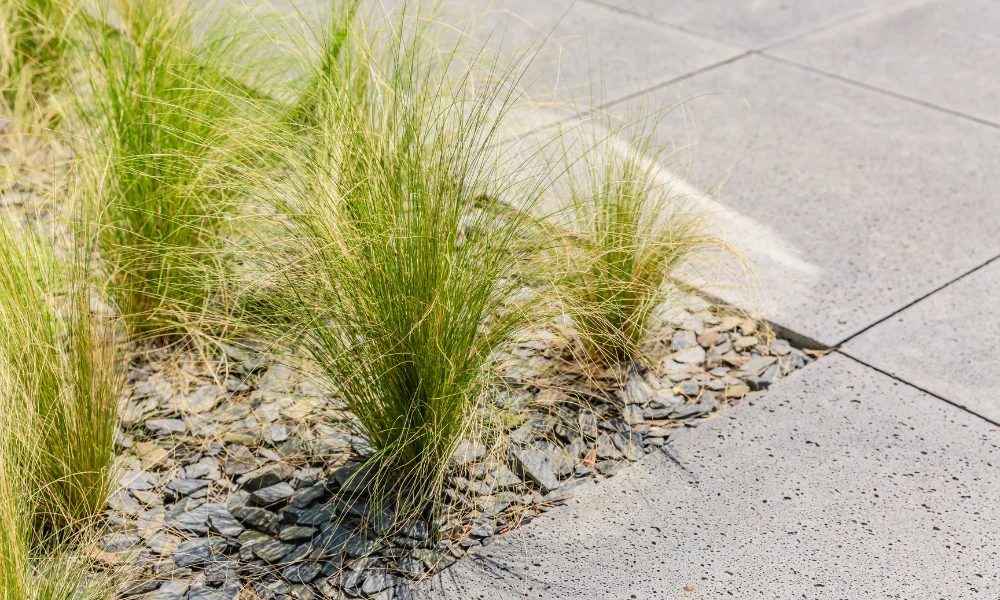 Porównanie Różnych Typów Kamienia Naturalnego do Wykorzystania na Tarasach i Podjazdach